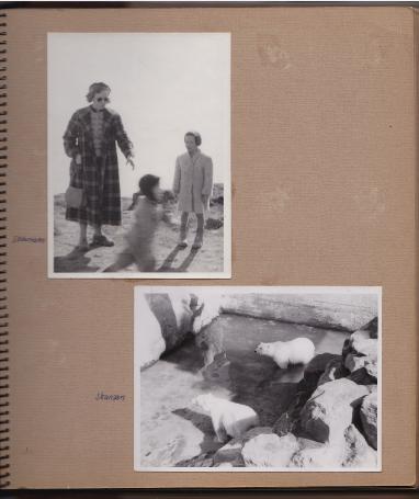 item3