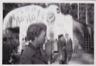 BrittaFuruvik1956tn