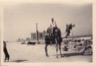 VojanpasemesteriEgypten19552tn